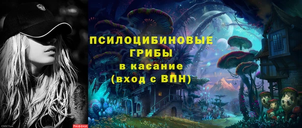 не бодяженный Арсеньев