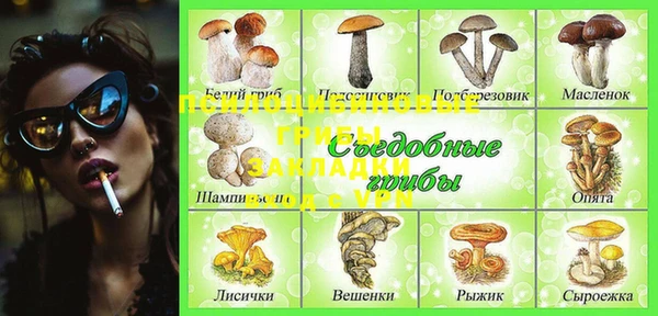 не бодяженный Арсеньев