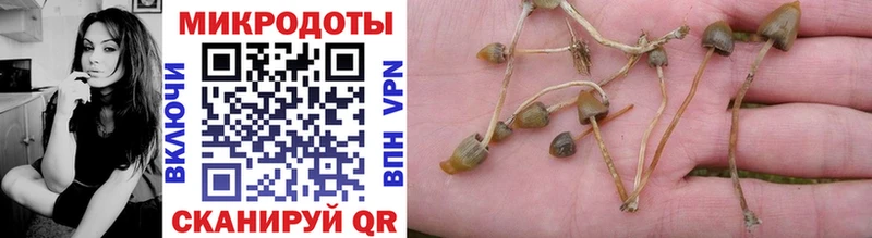 Псилоцибиновые грибы прущие грибы  Купить закладки  Брянск 